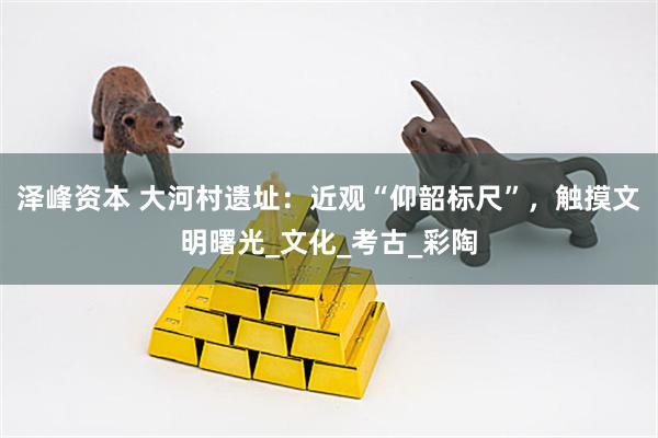 泽峰资本 大河村遗址：近观“仰韶标尺”，触摸文明曙光_文化_考古_彩陶