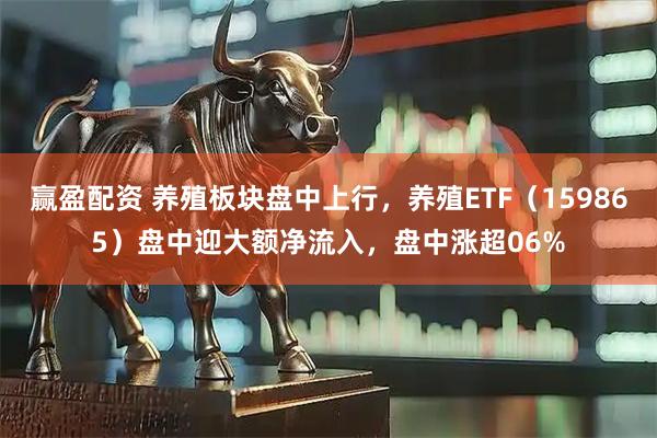 赢盈配资 养殖板块盘中上行，养殖ETF（159865）盘中迎大额净流入，盘中涨超06%