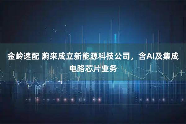 金岭速配 蔚来成立新能源科技公司，含AI及集成电路芯片业务