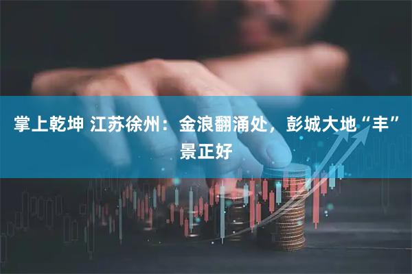 掌上乾坤 江苏徐州：金浪翻涌处，彭城大地“丰”景正好