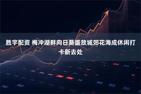 胜宇配资 梅冲湖畔向日葵盛放城郊花海成休闲打卡新去处